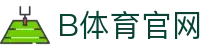 B体育官方网站 - 全球赛事直播专区